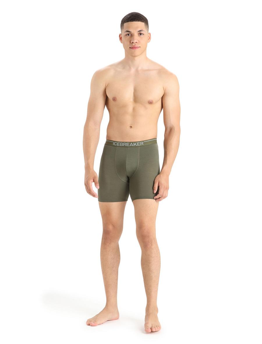 Men's Icebreaker Merino Anatomica Long Boxers Underwear Loden | CA 1663JPQJ